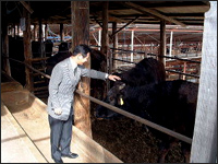 牧場視察