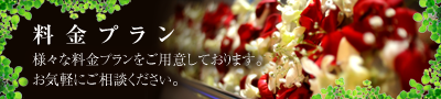 料金プラン